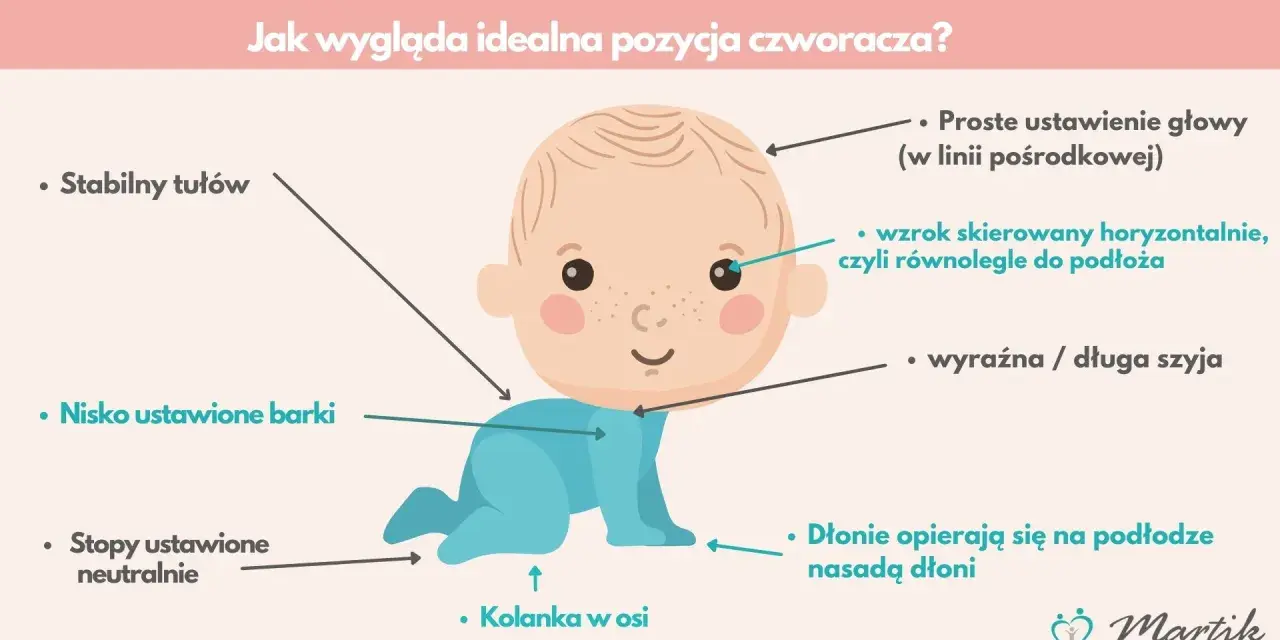Idealna pozycja czworakowania: stabilny tułów, nisko barki, stopy neutralnie, kolanka w osi, głowa prosto, wzrok poziomo, szyja wyraźna.