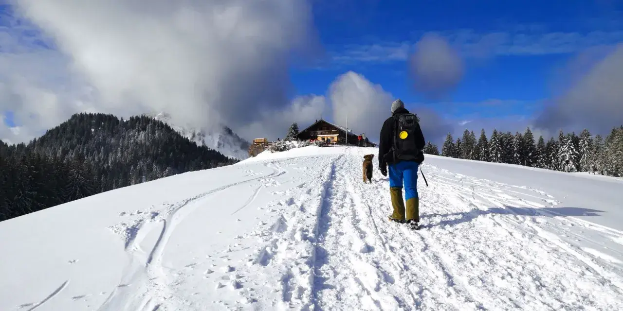Winterliche Aueralm Wanderung: Ein Wanderer mit Hund bahnt sich den Weg durch tiefen Schnee zu einer Hütte, umgeben von verschneiten Bäumen und blauem Himmel.