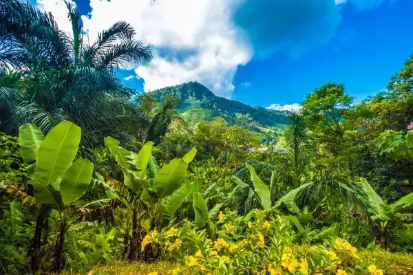 Ile kosztuje lot na Madagaskar? Ceny biletów, które zaskoczą