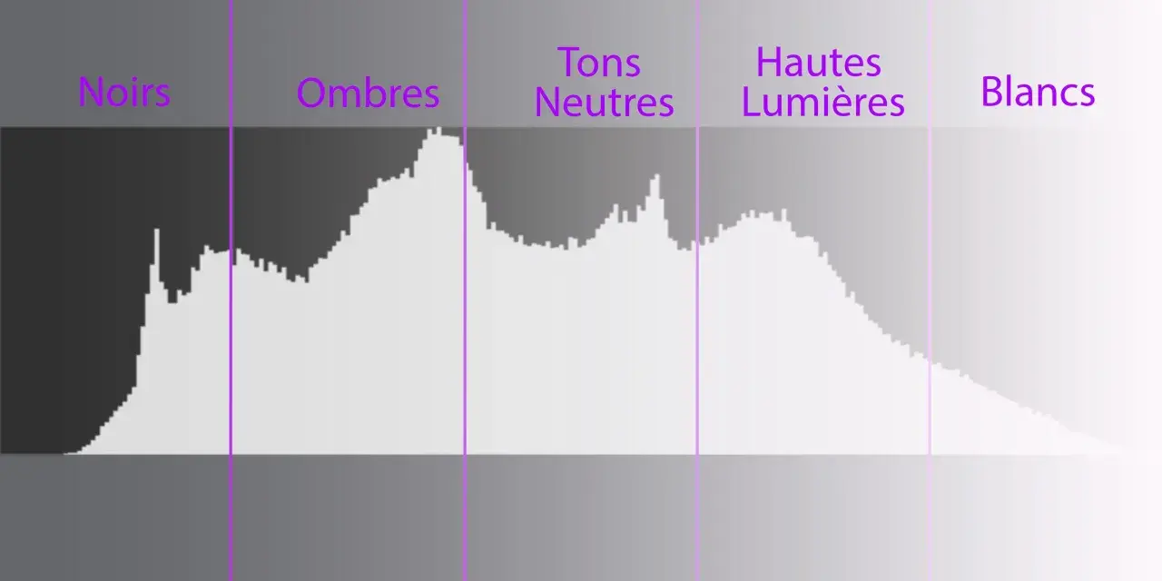 Comprendre comment lire un histogramme : une représentation graphique des tons d'une image, des noirs aux blancs, avec des zones pour les ombres, tons neutres et hautes lumières.