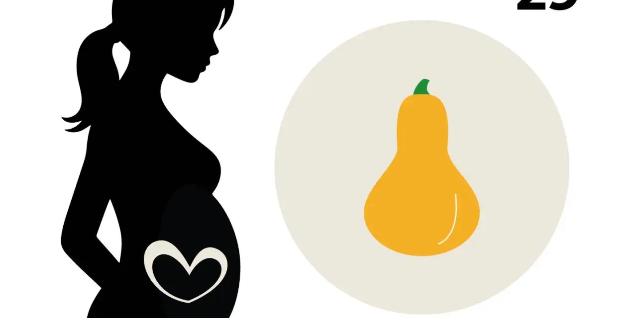 Schwarze Silhouette einer schwangeren Frau, die das 29. SSW-Baby mit einer Kürbisform vergleicht.