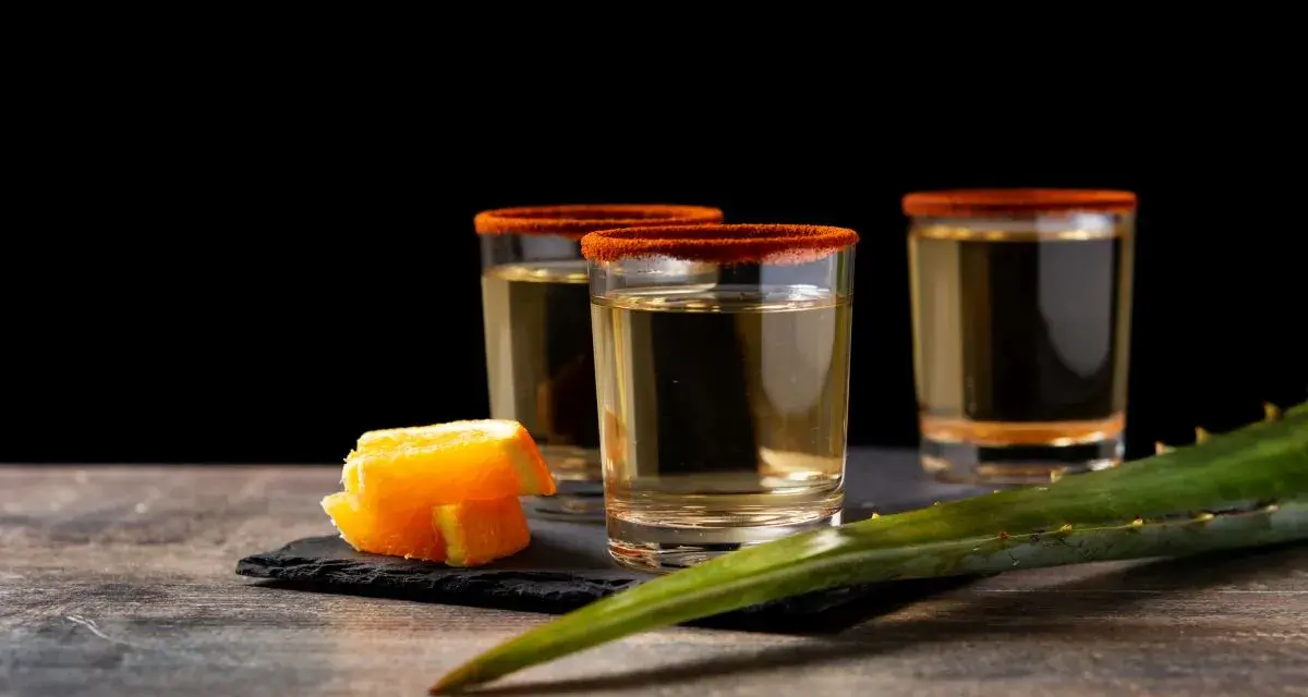 Trzy kieliszki z tequila i mezcal, ozdobione solą chili, obok pomarańczy i liścia agawy.