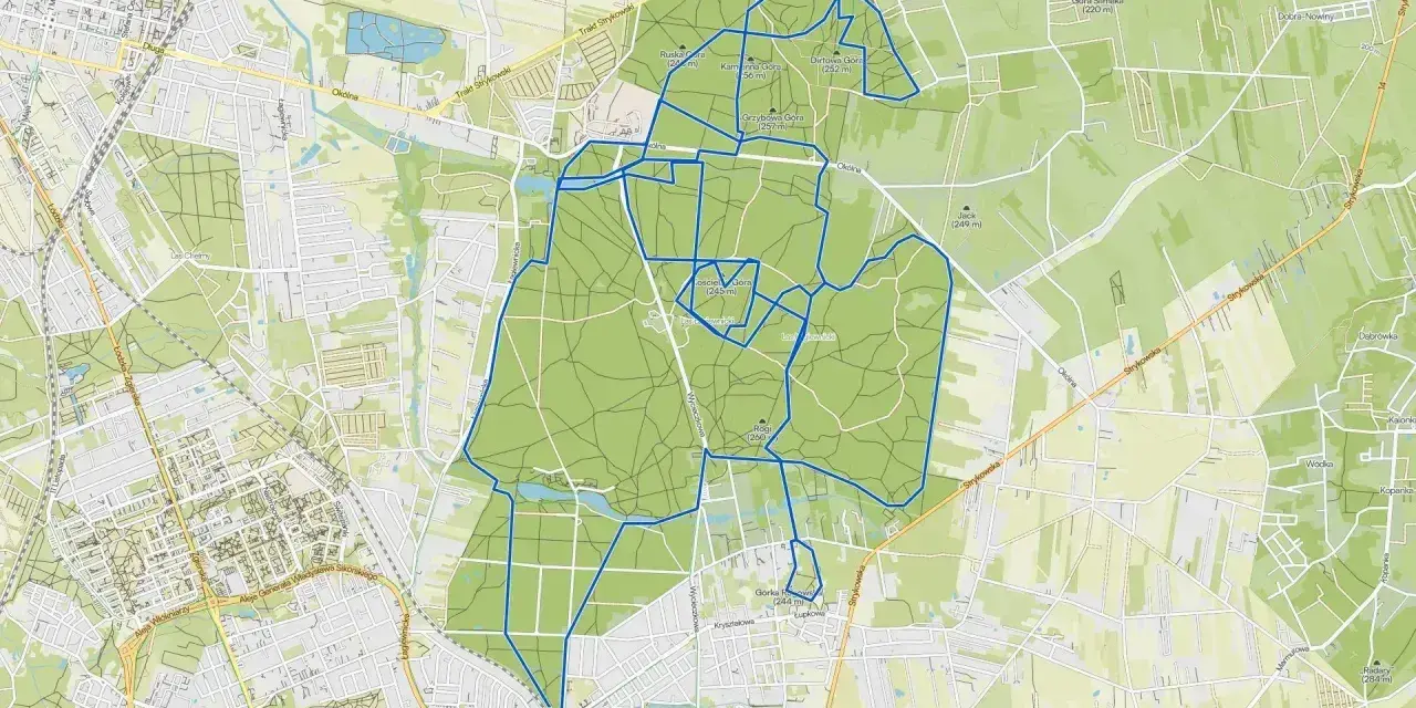 Mapa z zaznaczonymi trasami rowerowymi w Łódzkiem. Idealne do odkrywania pięknych krajobrazów na dwóch kółkach.