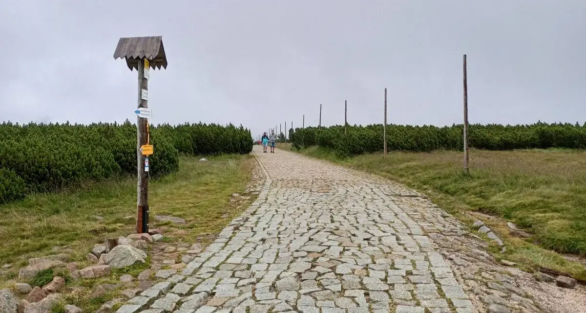 Kamienna ścieżka w górach, pośród kosodrzewin. Na pierwszym planie drewniany słup z drogowskazami, przypominający spaloną strażnicę.