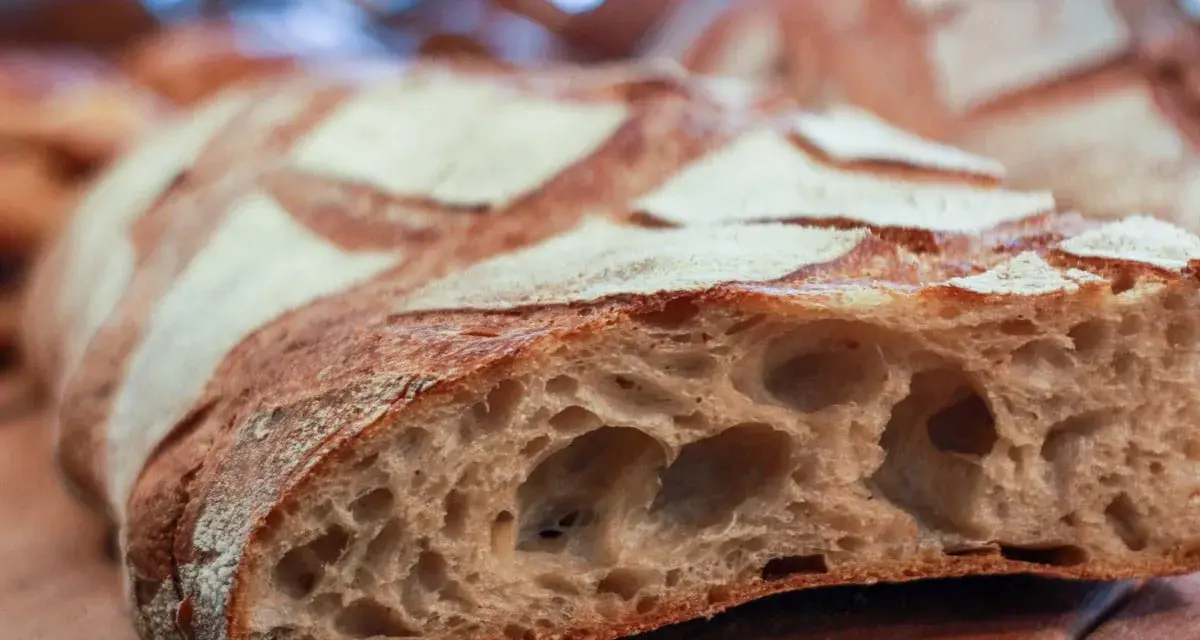 Una fetta di pane con lievito madre, crosta dorata e alveolatura pronunciata.