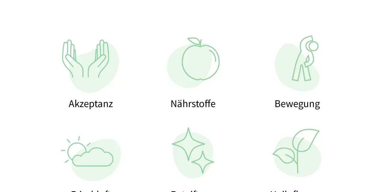 Tipps zum Absetzen der Pille: Akzeptanz, Nährstoffe, Bewegung, Frischluft, Entgiftung, Heilpflanzen. So meisterst du mögliche Nebenwirkungen.