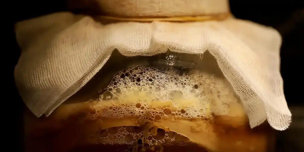 Ein Glas mit einer schaumigen, honigfarbenen Flüssigkeit, bedeckt mit einem weißen Tuch. Hier beginnt das Abenteuer, hefe selber machen!