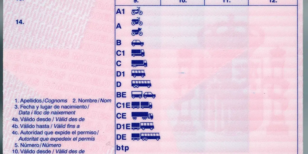 Permiso de conducción con categorías A1, A, B, C, D, BE, C1E, CE, D1E, DE, btp. Ideal para tu carnet b moto.