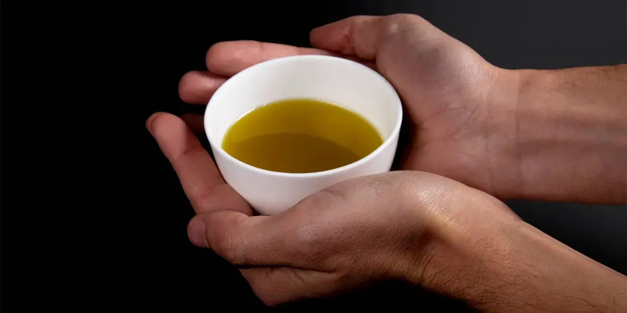 Mani che sorreggono una tazzina bianca con olio extravergine di oliva dorato. Un gesto per imparare come riconoscere olio extravergine di oliva.