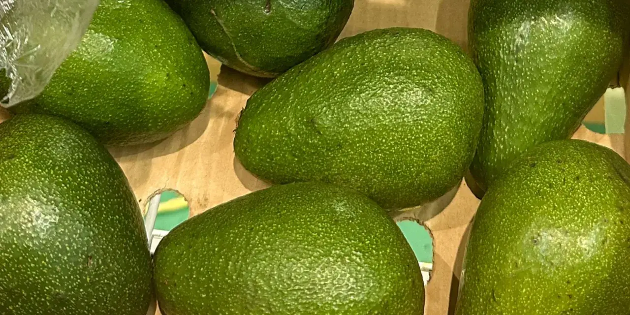 Siedem dojrzałych awokado w kartonie. Idealny czas na guacamole, bo to sezon na awokado!