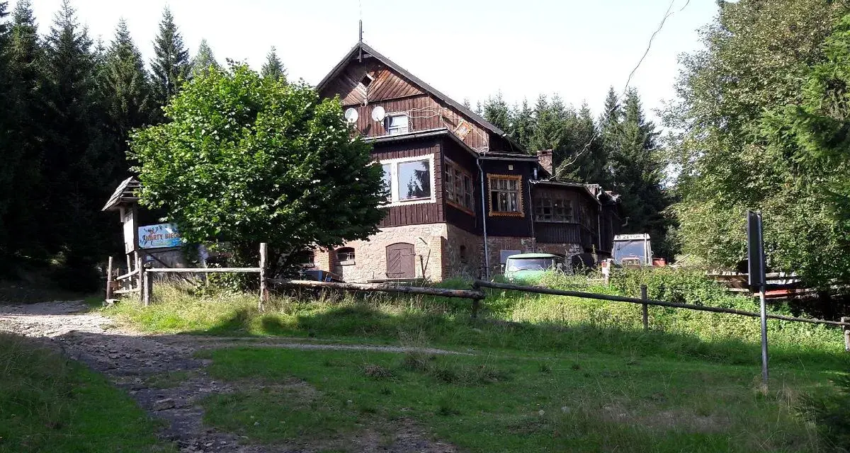 Drewniany budynek schroniska Sowa otoczony lasem. Przed nim zielony trawnik i droga.
