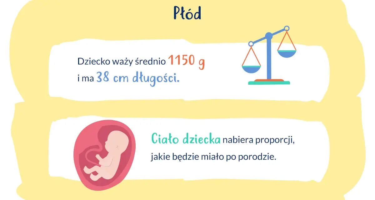 28 tydzień ciąży: płód waży 1150g i ma 38cm. Ciało dziecka nabiera proporcji.