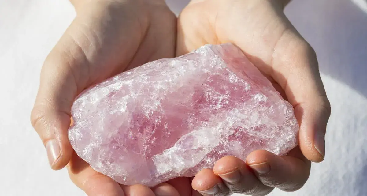 Manos sostienen una gran piedra de cuarzo rosa, una piedra para la salud y el bienestar, con su translúcida belleza.