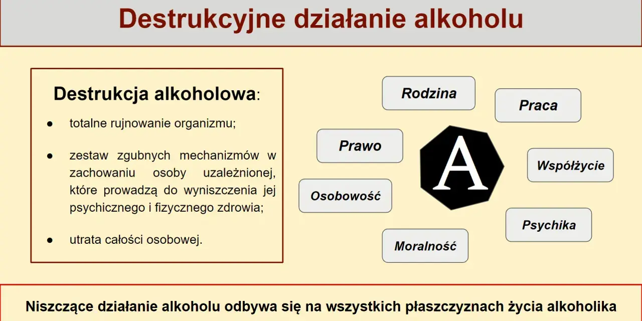 Picie alkoholu za barem? Prawo, konsekwencje, profesjonalizm