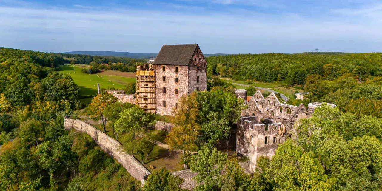 Zamek Świny, częściowo odrestaurowany, góruje nad zielonym krajobrazem. Ruiny zamku i otaczający las tworzą malowniczą scenerię.
