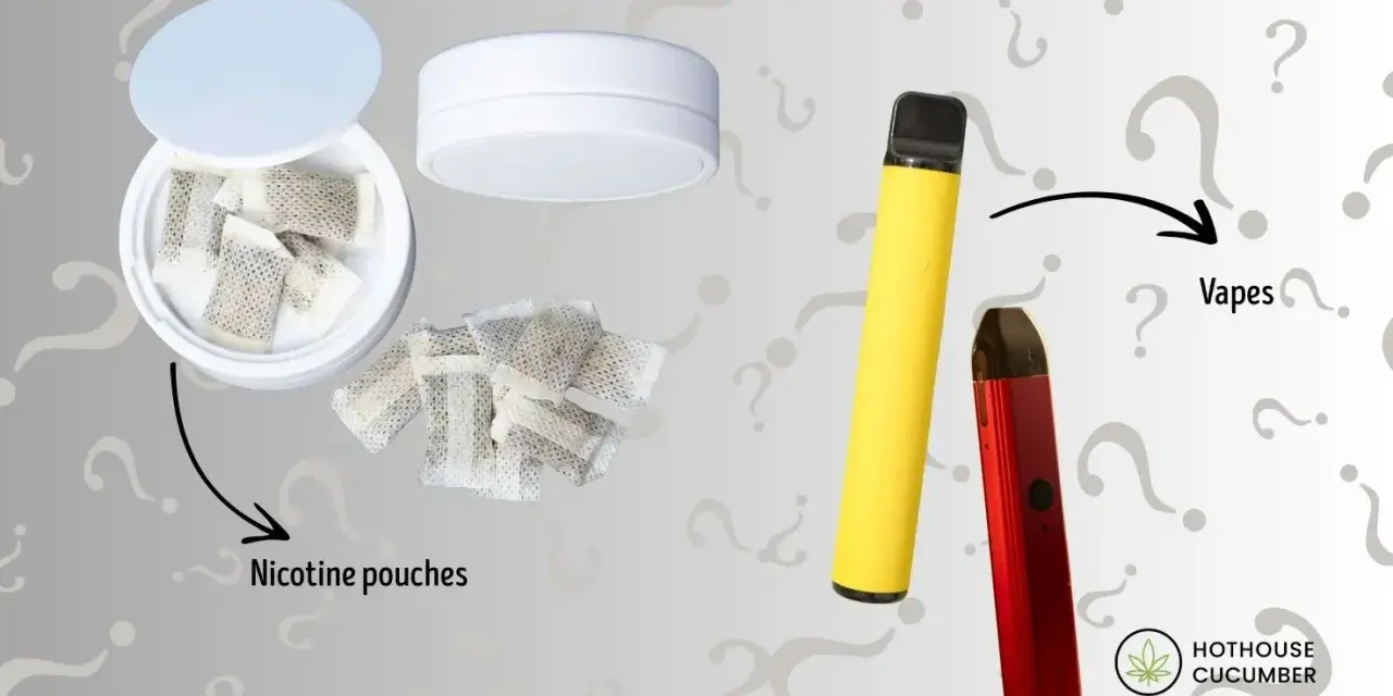 Bolsitas de nicotina y vapes. ¿Cuánto es el máximo de nicotina en un vape?