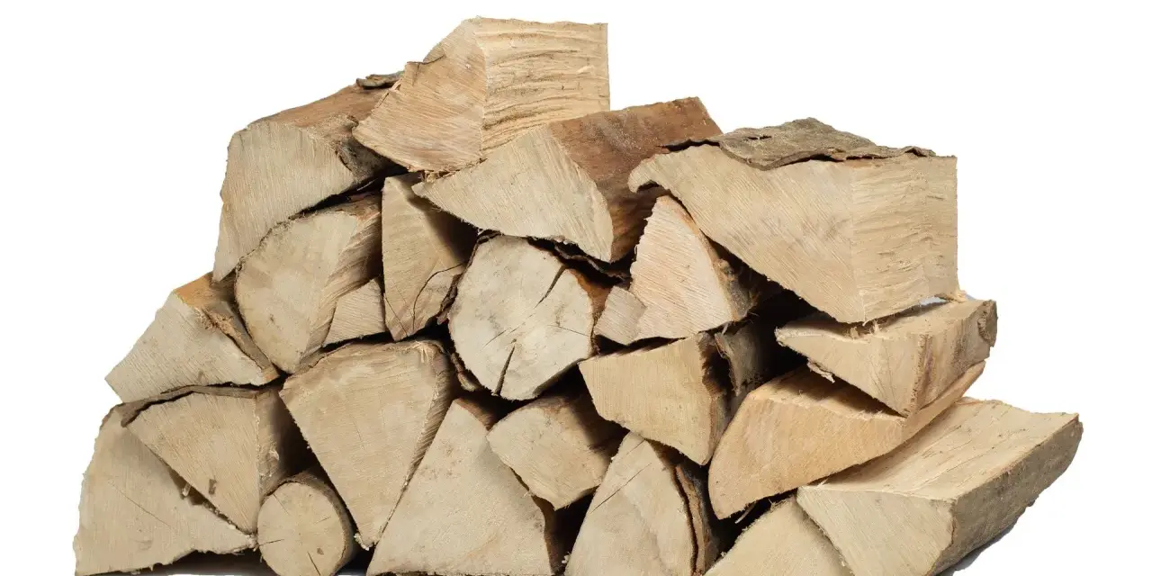 Legna accatastata, pronta per il camino. Chissà qual è il legno più duro tra questi ceppi.