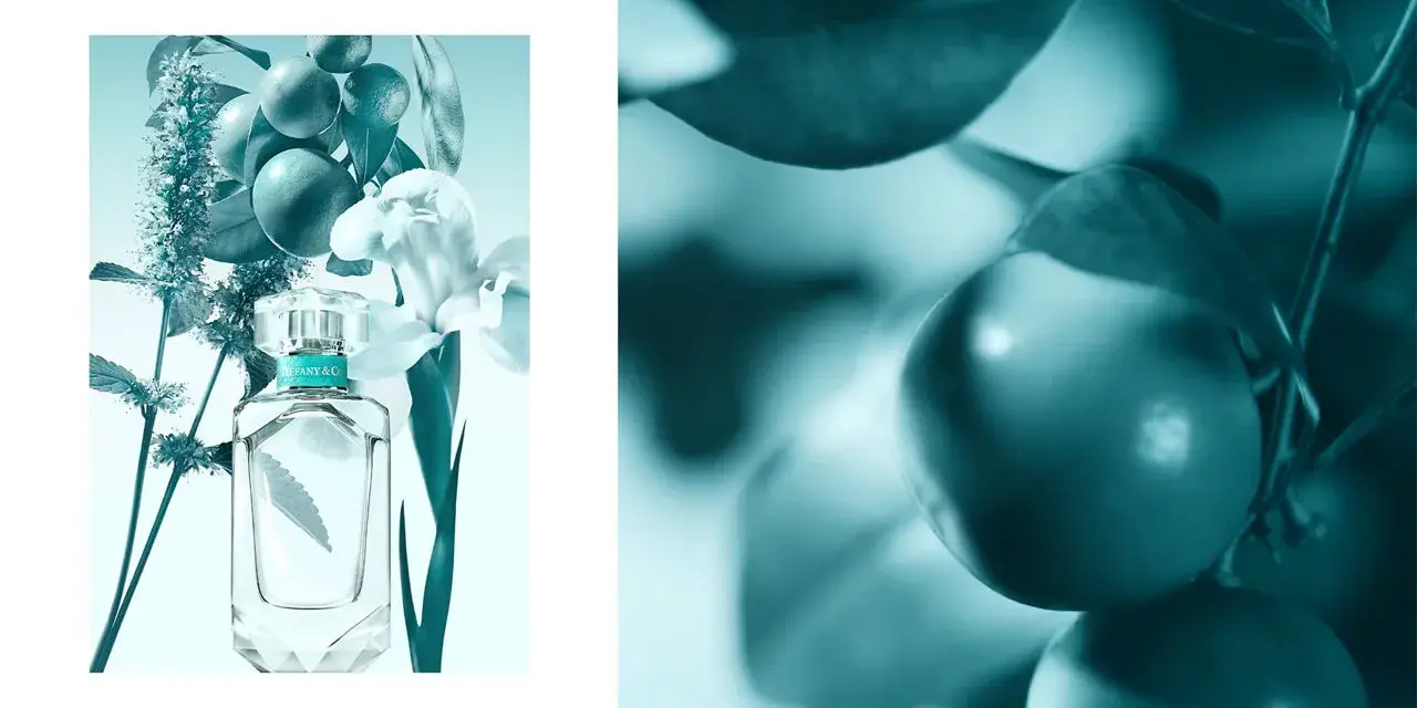 Tiffany und Co Parfum bei Müller: Finde deinen perfekten Duft