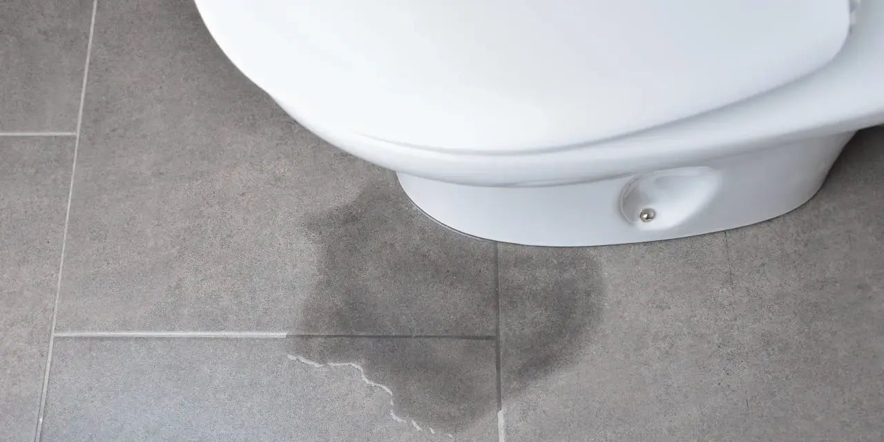 A wet patch on the floor indicates the toilet leaking at the base.