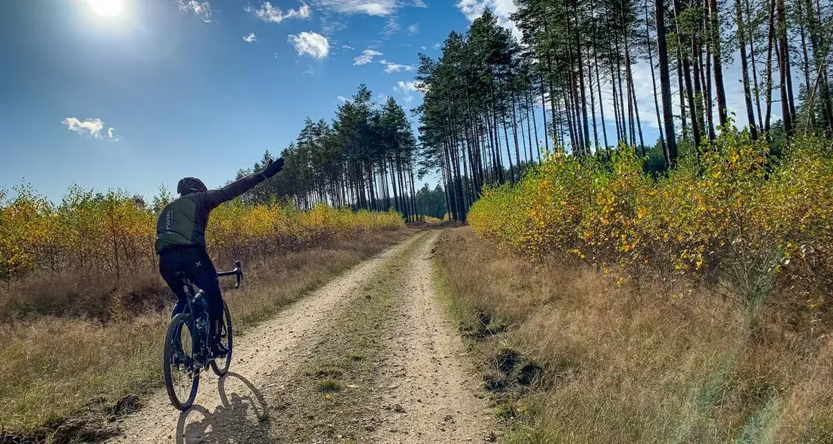 Rowerzysta cieszy się jazdą po szutrowej drodze wśród jesiennych drzew.