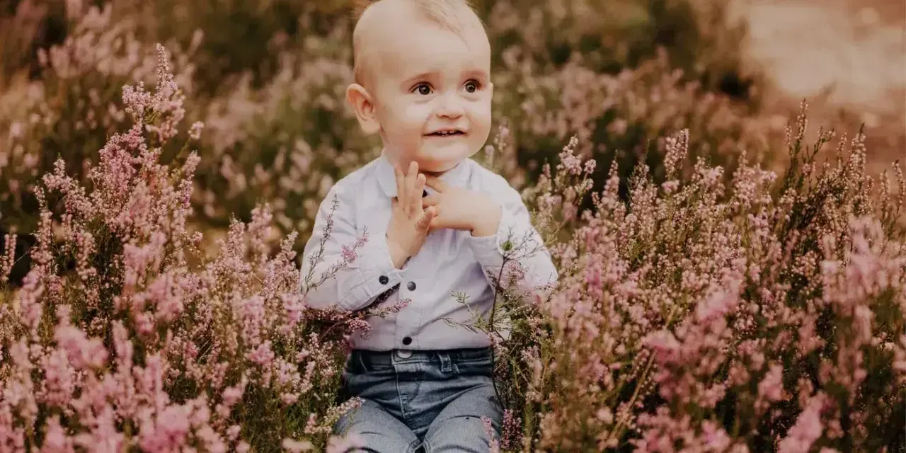 Uroczy chłopiec w jeansach i koszuli siedzi pośród kwitnącej wrzosowej łąki. Idealny motyw przewodni na roczek dla dziewczynki, pełen naturalnego piękna.