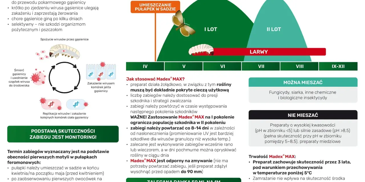 Madex® MAX zwalcza gąsienice, działając żołądkowo. Preparat jest skuteczny i bezpieczny dla pożytecznych owadów.