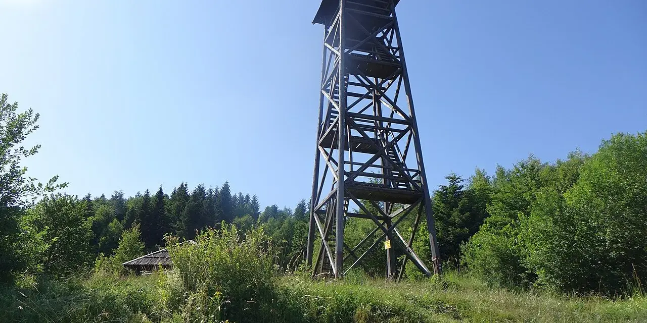 Drewniana wieża widokowa pod Jaworzem góruje nad zielonym lasem. W oddali widać mały domek.