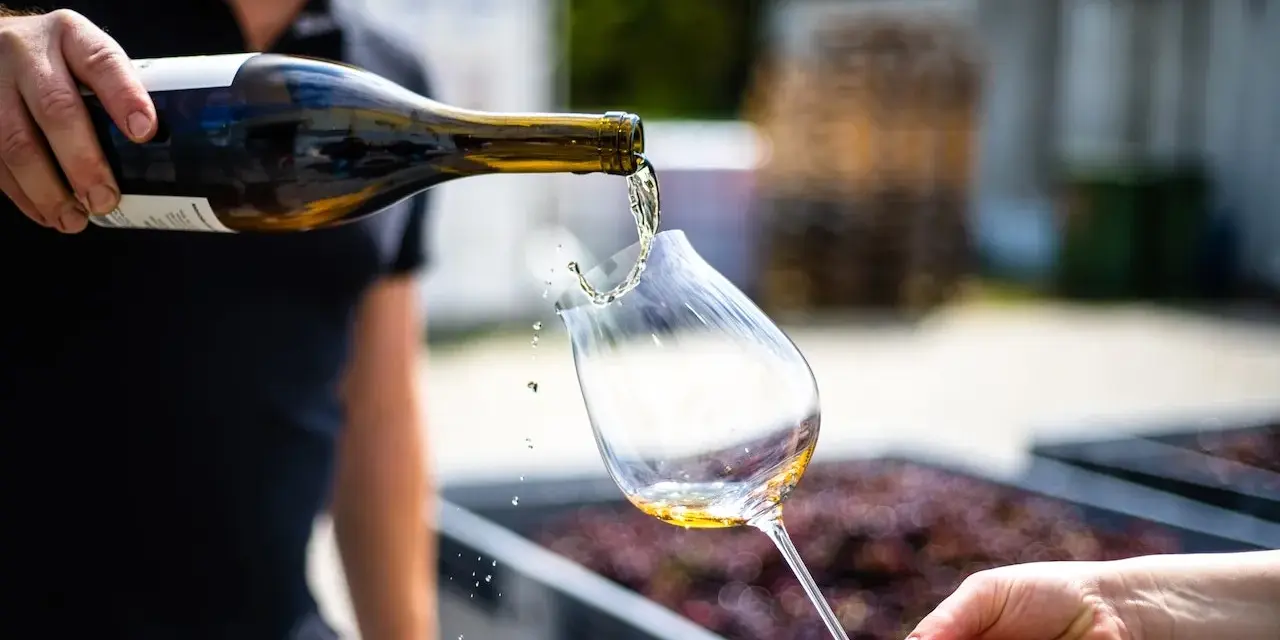 Un enologo versa vino bianco in un calice. Chissà quanto guadagna un enologo per creare queste delizie?