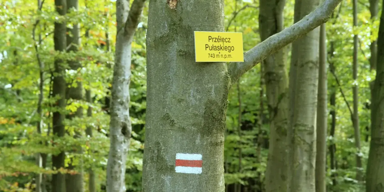 Szlak na Lackową prowadzi przez bukowy las. Na drzewie tabliczka z nazwą Przełęcz Pułaskiego i znak szlaku.