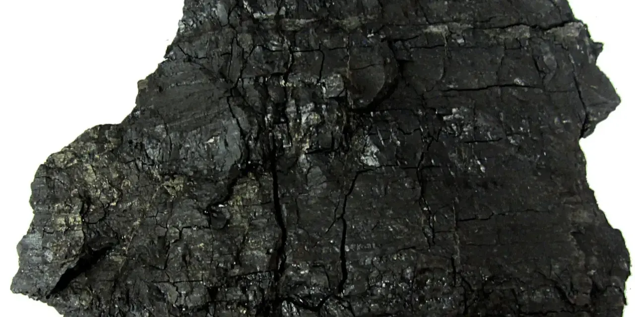 Okres geologiczny w którym powstał węgiel kamienny – tajemnice karbonu