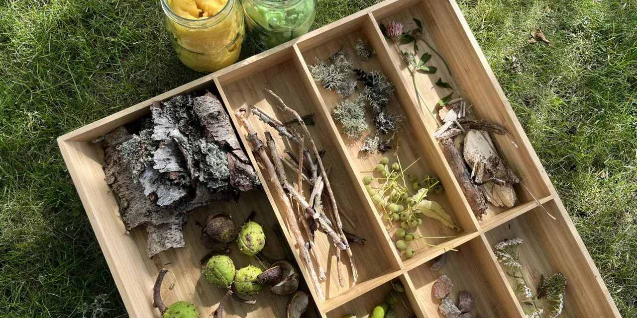 Lådor med naturmaterial för att leka med lera. Här finns kottar, kastanjer, kvistar, löv, stenar och blommor.
