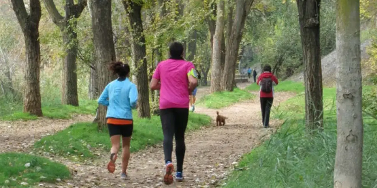Personas corriendo por un sendero arbolado, disfrutando del senderismo en Alcalá de Henares. Un perro les acompaña.