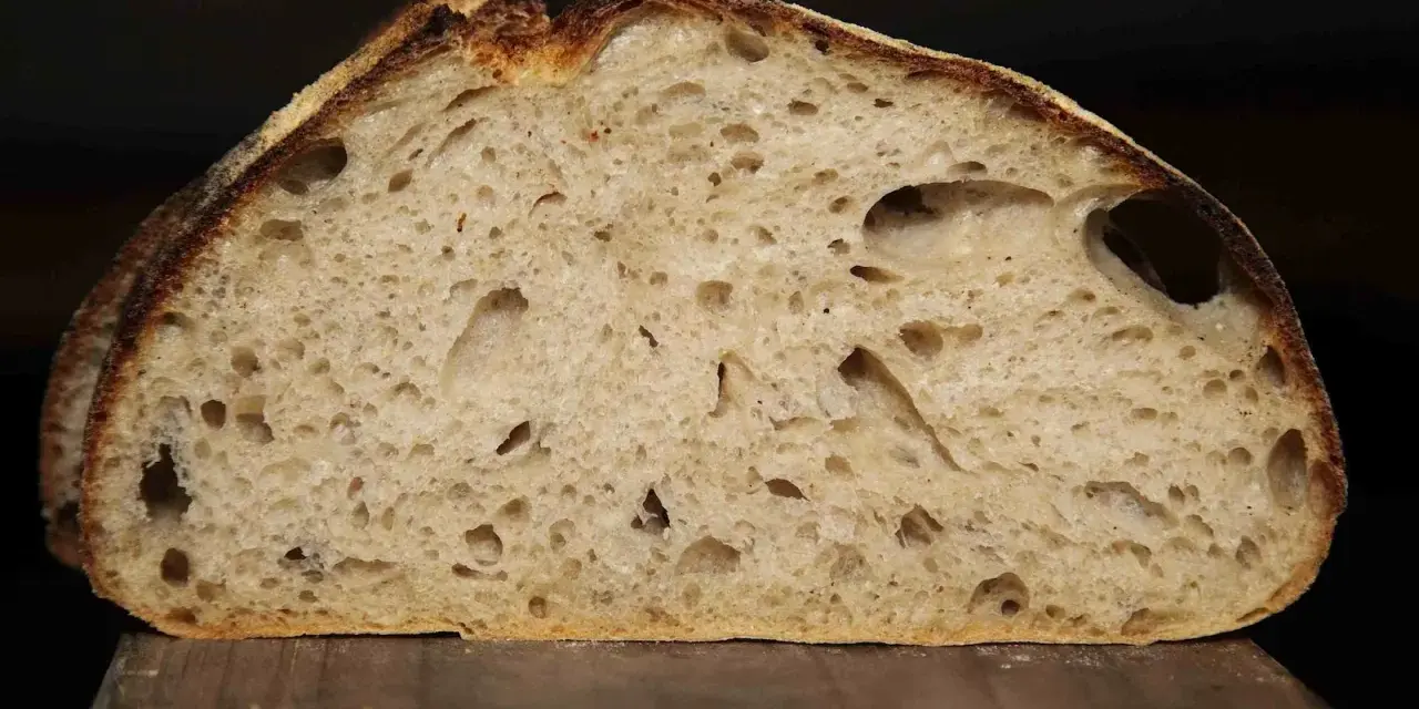 Schnitt eines rustikalen Pain au Levain mit luftiger Krume und knuspriger Kruste.
