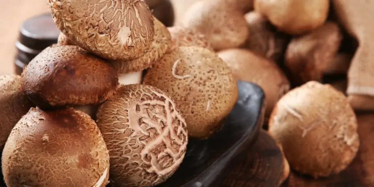 Kupa świeżych grzybów shiitake na czarnej desce, niektóre w worku jutowym.