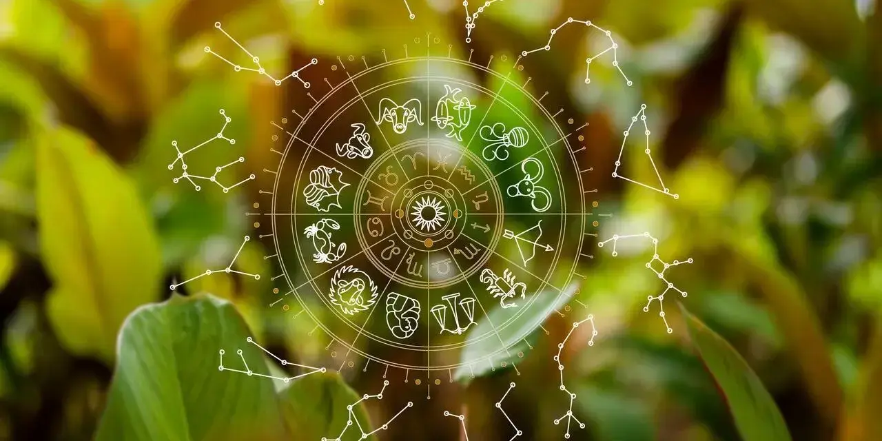 Koło zodiaku i konstelacje na tle zieleni. Symbolika 11. domu astrologii w naturze.