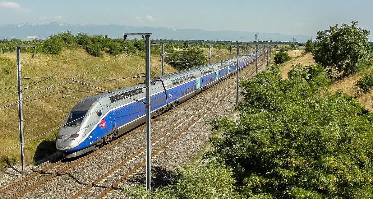 Niebiesko-srebrny pociąg dużych prędkości TGV na torach kolejowych, otoczony zielenią i słupami trakcyjnymi.