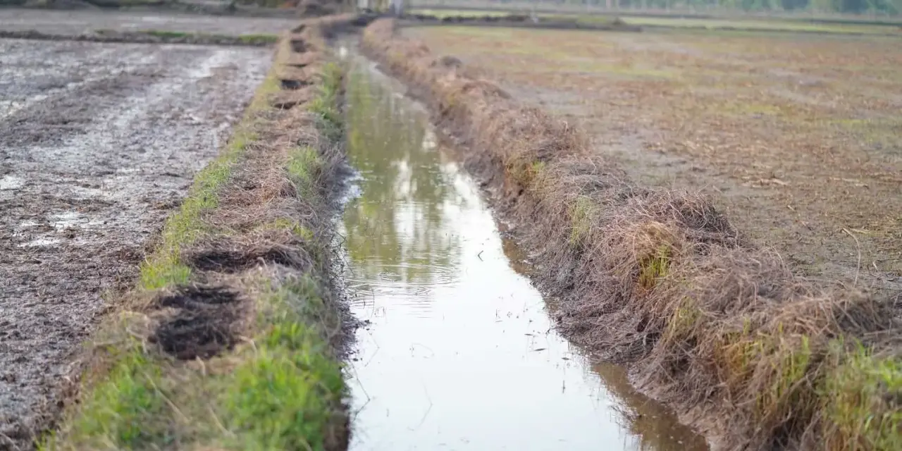 Canale di irrigazione in un campo argilloso, utile per capire come trovare acqua in un terreno argilloso.
