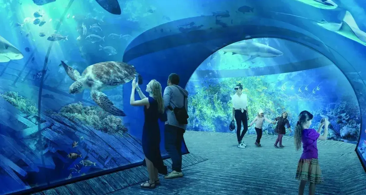 Rodzina podziwia żółwia i rekiny w oceanarium w Gdańsku, robiąc zdjęcia.