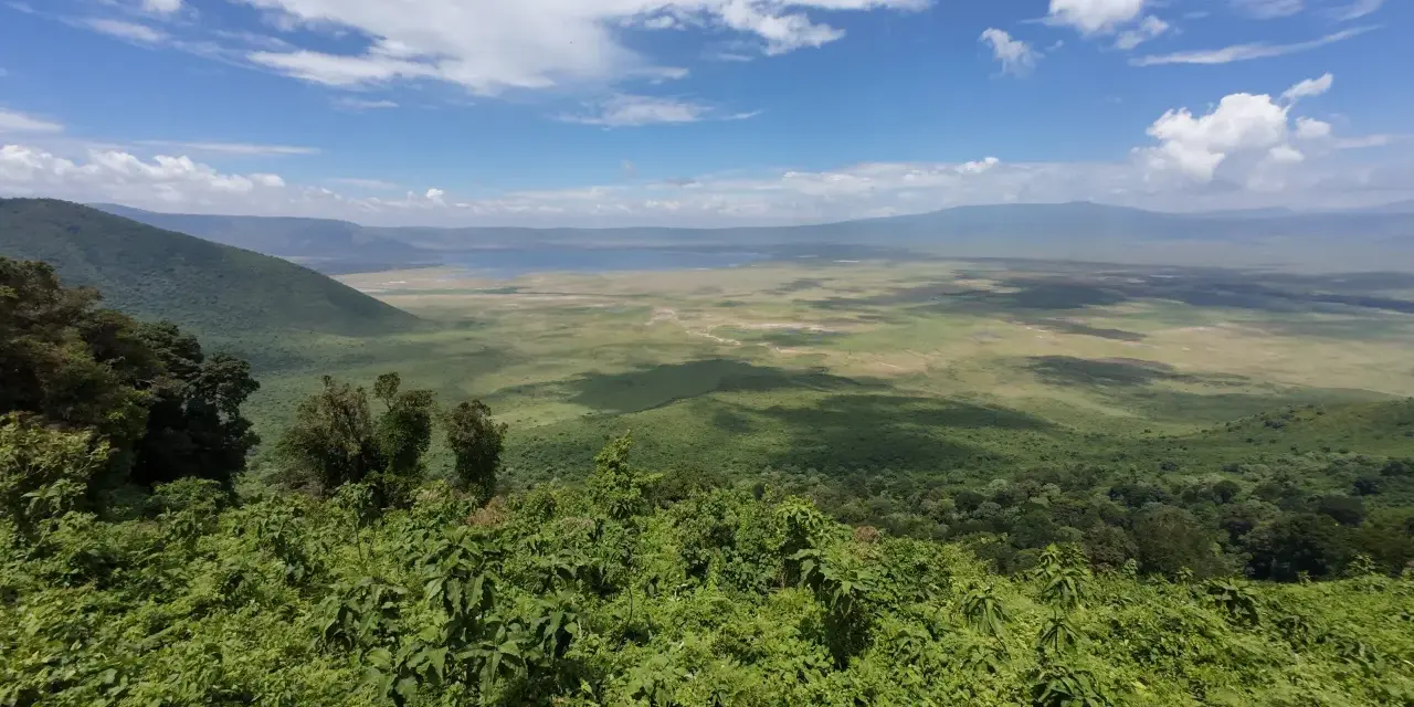 Rozległy widok na krater Ngorongoro z bujną zielenią na pierwszym planie i jeziorem w oddali.