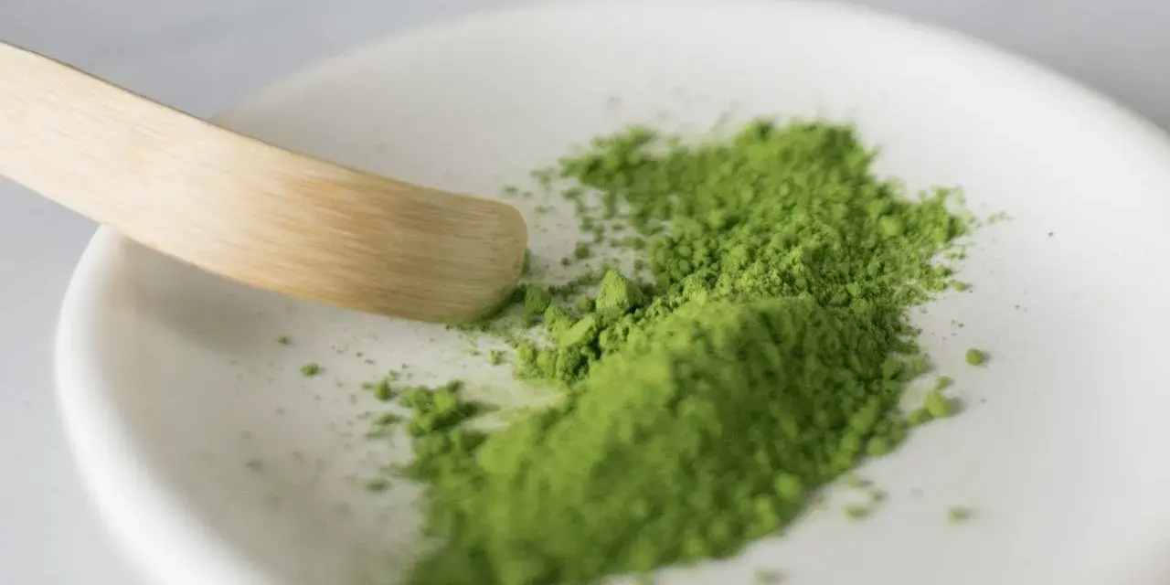 Zielony proszek matcha na białej miseczce, gotowy do przygotowania napoju. Poznaj, jak smakuje matcha – intensywnie, lekko gorzko, z nutą słodyczy.