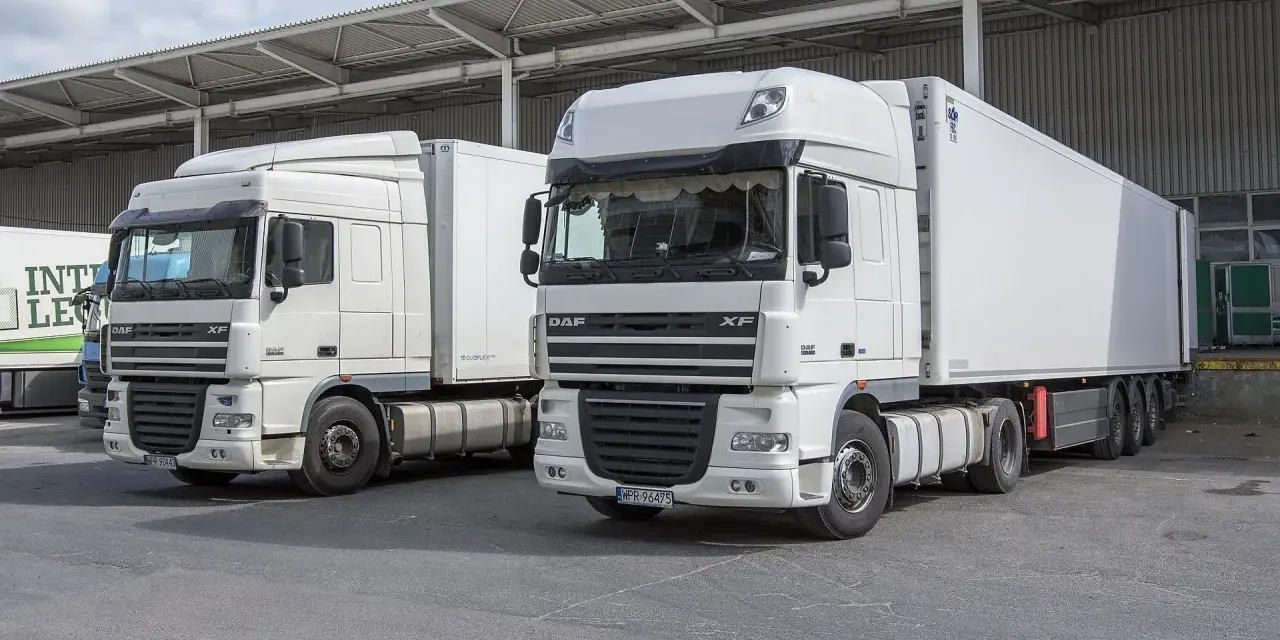 Dwa białe ciągniki siodłowe DAF XF, gotowe do trasy. Posiadanie prawa jazdy kat C+E otwiera drogę do takich pojazdów.