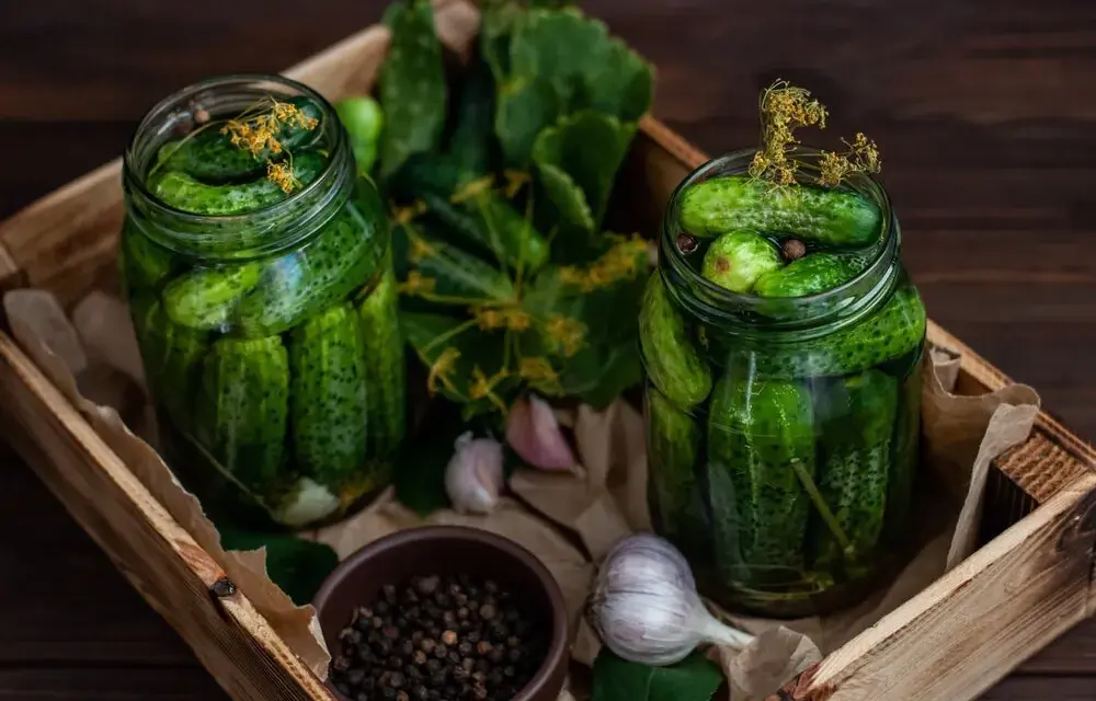 Jak przechować koper do kiszenia ogórków, by zachować jego aromat?