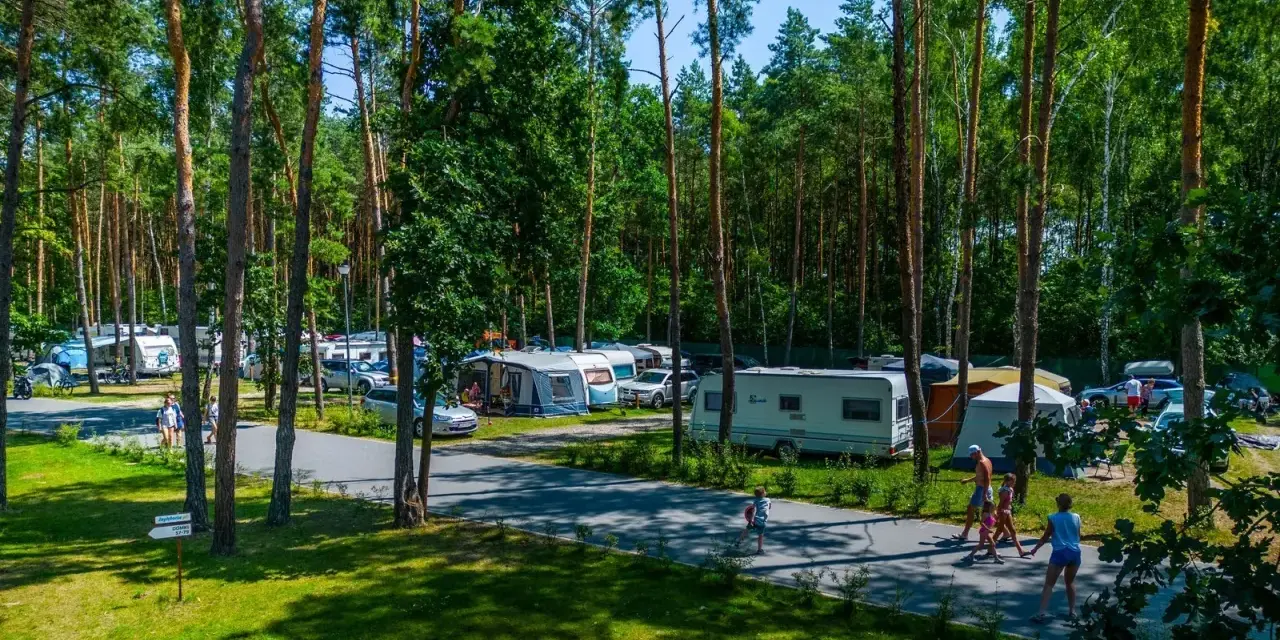 Rodzina spaceruje po zagłębionym polu namiotowym wśród sosen. Widać kampery i namioty.
