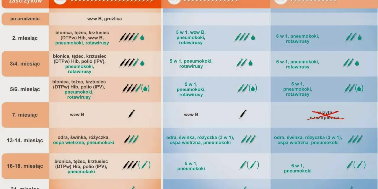 Kalendarz szczepień dzieci: obowiązkowe i zalecane, w tym przeciwko katarowi. Porównanie programów szczepień.
