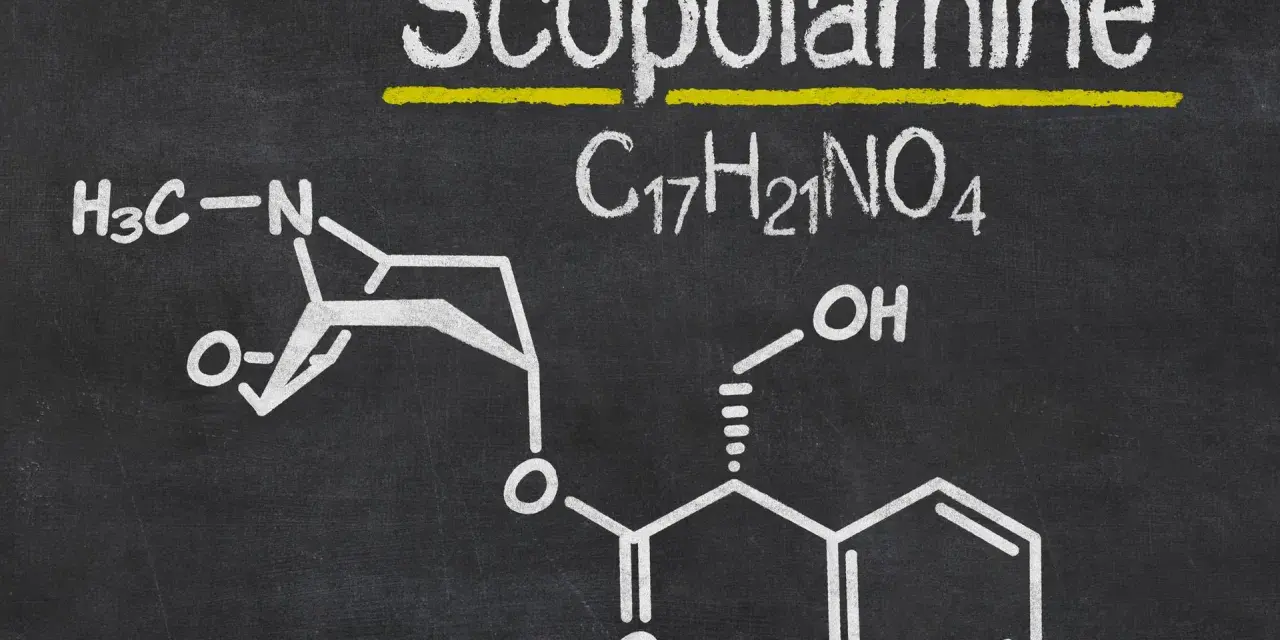 Struktura chemiczna skopolaminy, C₁₇H₂₁NO₄, narysowana kredą na tablicy.