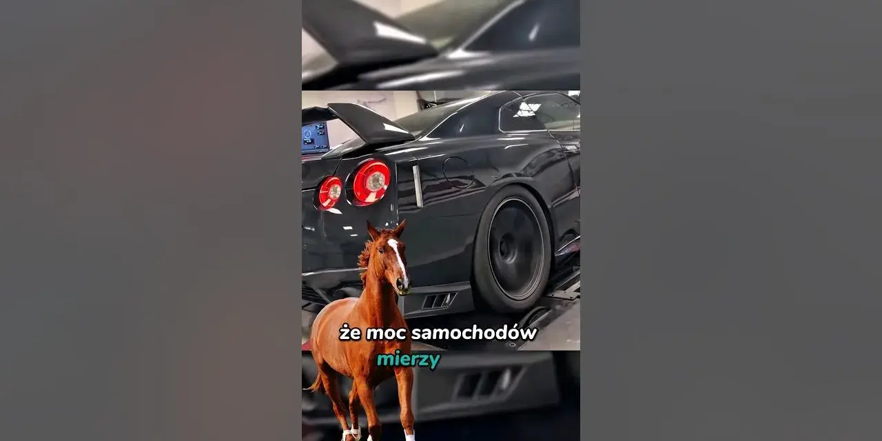 Ile koni mechanicznych ma Lamborghini? Zaskakujące różnice między modelami