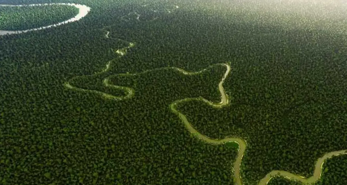 Un río serpenteante atraviesa una densa selva verde, evocando la majestuosidad del segundo río más largo de Sudamérica.