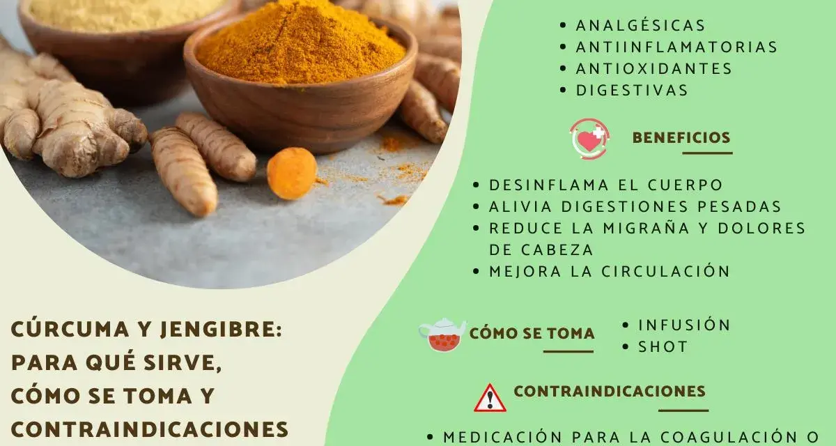 Jengibre y cúrcuma en polvo y raíces. Se detallan propiedades, beneficios y contraindicaciones del jengibre, como su uso en medicación para coagulación o presión arterial.