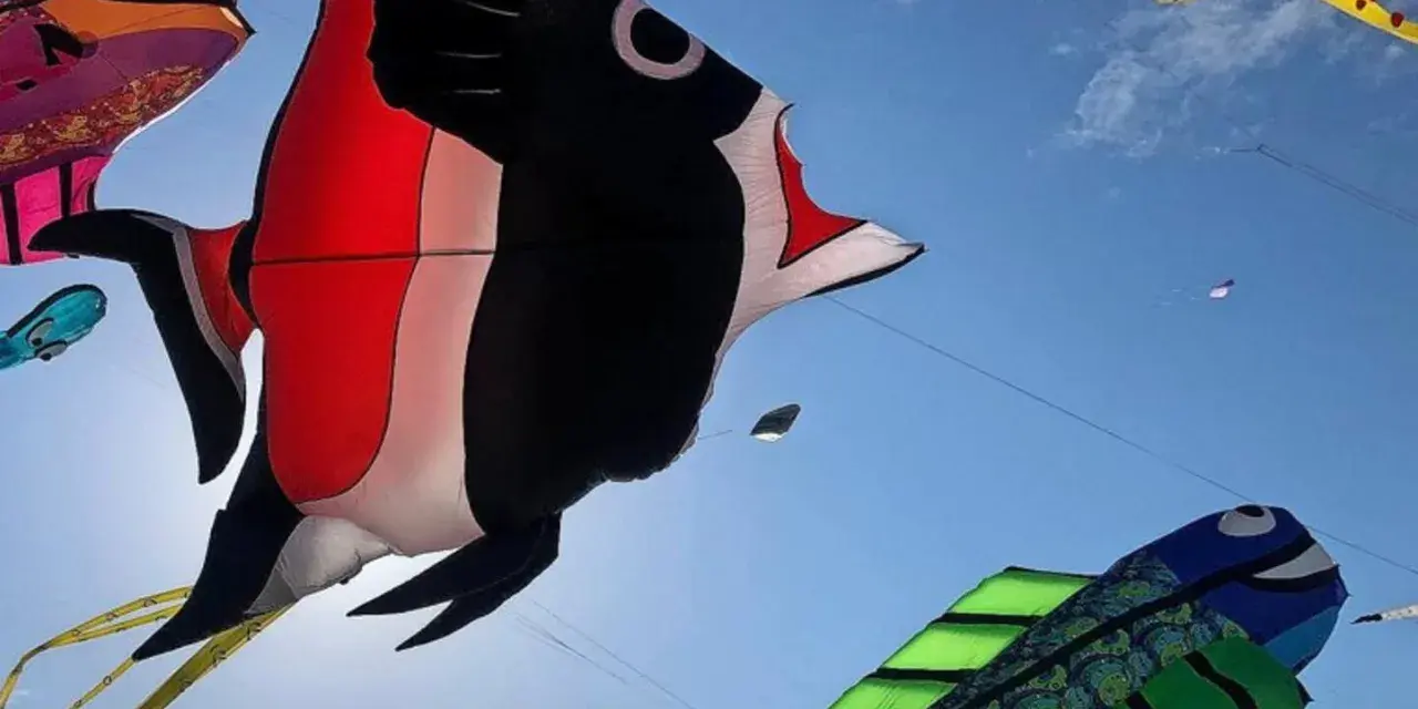 Bunte Drachen in Fischform tanzen am Himmel beim Fehmarn Drachenfest. Ein großer roter und schwarzer Fischdominiert, daneben ein grüner Fisch und ein gelber Tintenfisch.