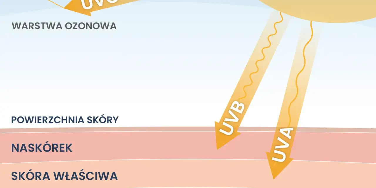 Promienie UV, co to? UVC odbija się od warstwy ozonowej, UVA i UVB docierają do skóry, naskórka i głębiej.
